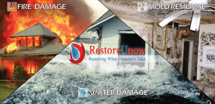 water cleanup Walkersville md
